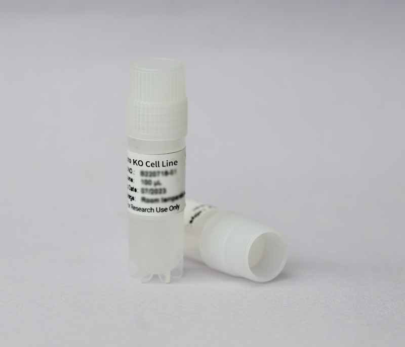 ULK1 Knockout cell line (A549)