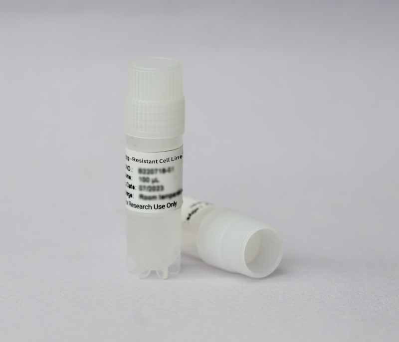 A2780/cisR Cell Line