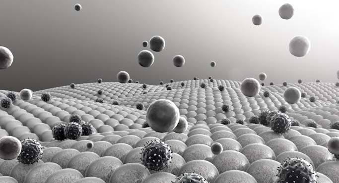 Drug target stable cells