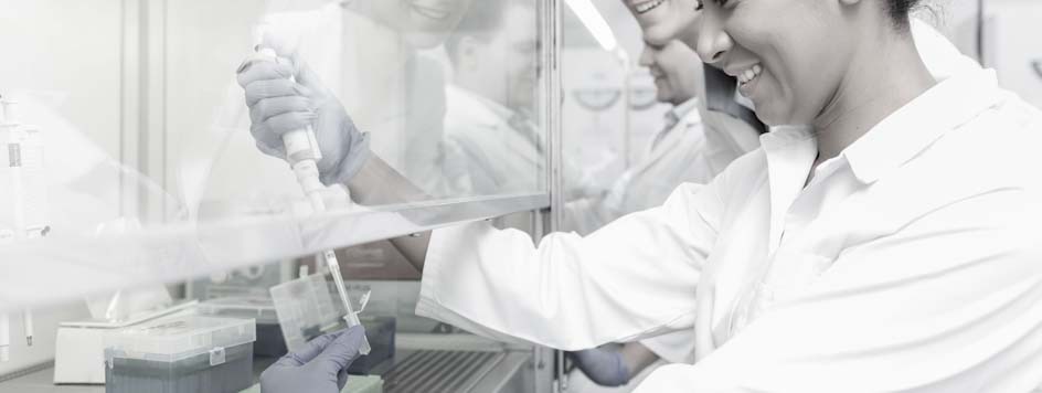 CRISPRa stable cell line