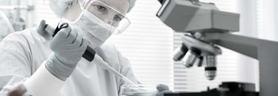 shRNA knockdown stable cell line