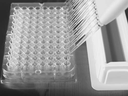 Luciferase Reporter Cell Line Application: New Drug/Treatment