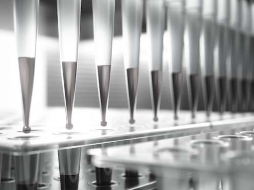 Protocol: CRISPR gene knockout protocol (Part 3): Single Cell