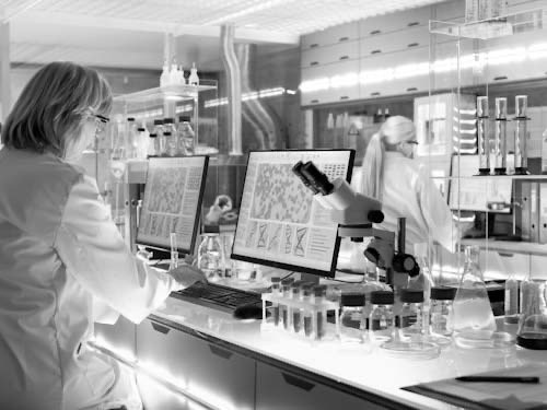 Everything You Need To Know About CRISPR gRNA Library Screeni