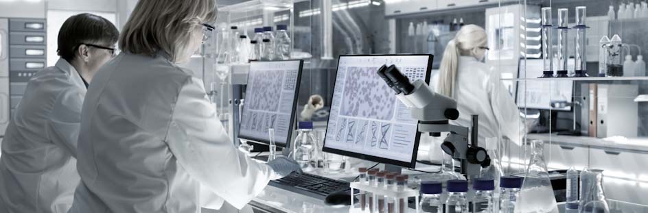 CRISPR library screening protocol